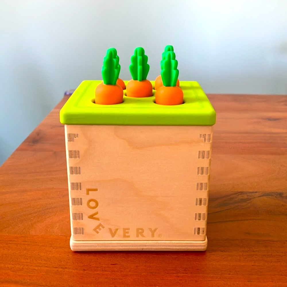 Lovevery Posting Box with Wooden Coin Bank Set
